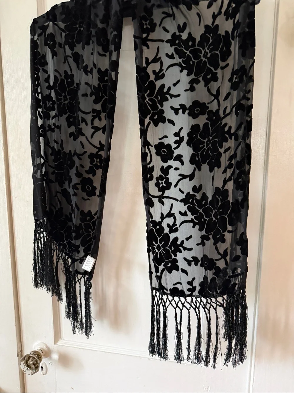 Echo Black Sheer Velvet Burnout Scarf with Fringe